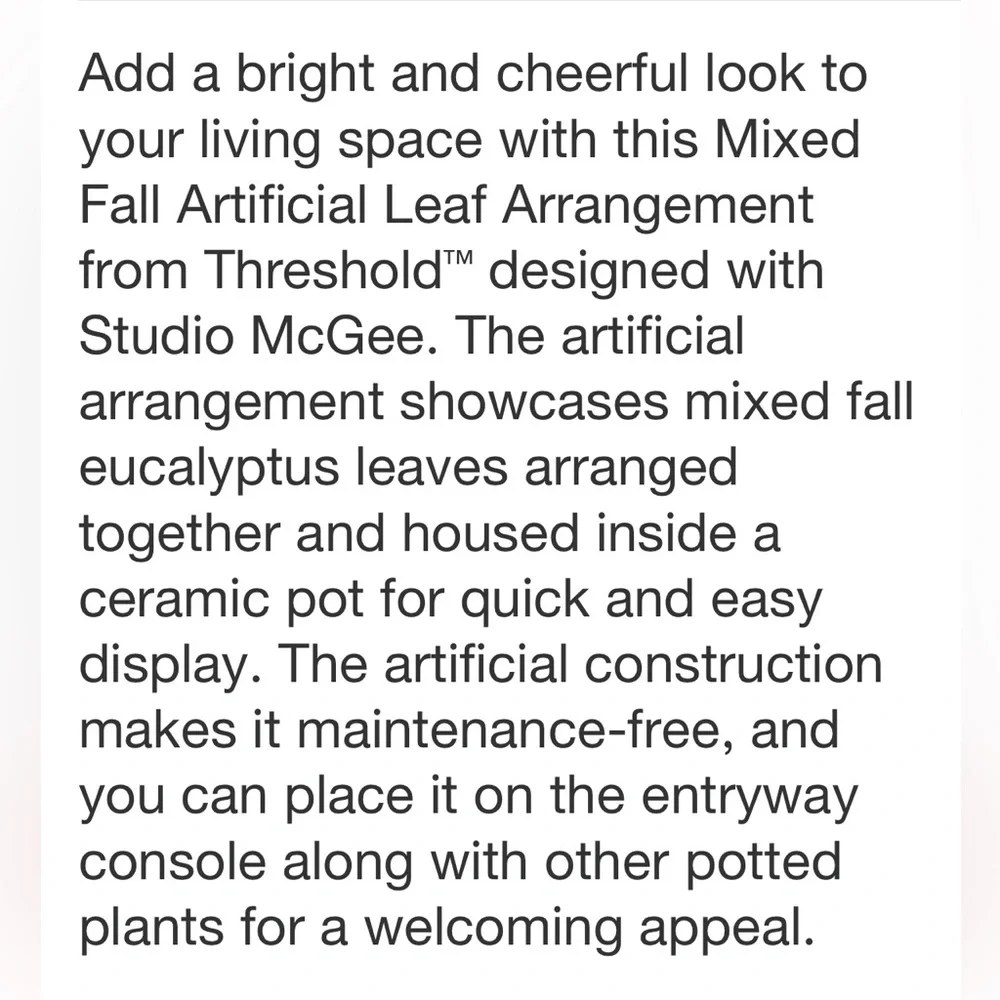 STUDIO MCGEE NWT mixed fall faux arrangement -red -22”